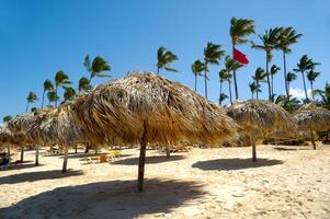 Parasols on beach photo