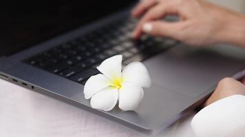 Female freelancer hands typing on a laptop keyboard. Close Up on Anonymous Designer Working on a Laptop Computer. Banner for Artistic Content Creation and Presentations. Document management concept. video