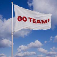 Go Team Waving Flag photo