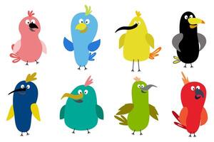 Funny birds. Cartoon colorful sparrow characters, happy flying animals with colorful wings and beaks vector