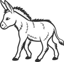 A donkey is standing in a line drawing vector