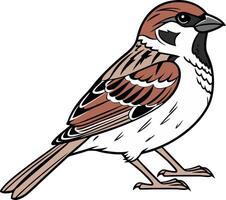 A sparrow bird with brown and white feathers vector