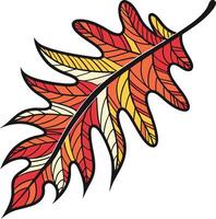 A colorful autumn leaf vector