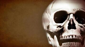 Halloween Concept Head Skull Background photo