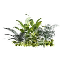 Jungle Grass Set of Green Plants Compositions on Ground Group of Bushes with plants png