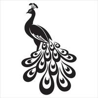 Intricate Peacock Feather Linework vector