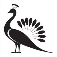 Peacock with Intricate Tail Design vector