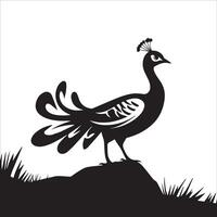 Peacock with Floral Tail Pattern vector