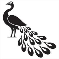 Elegant Peacock Line Pattern vector