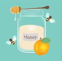 Honey in a jar, spoon, apricot and bees vector