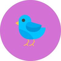 pájaro icono diseño símbolo vector