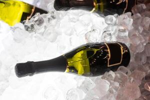 bottles of sparkling wine in ice photo