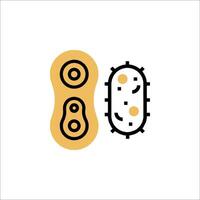A pair of bacteria on a white background vector
