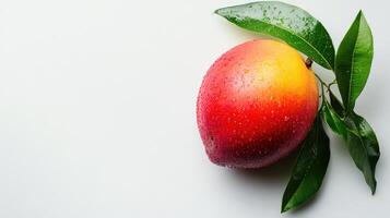 Vibrant, ripe mango with fresh green leaves photo