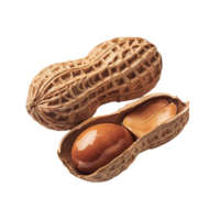 Close-up of Two Peanuts One Shelled, One Unshelled, isolated on transparent background png