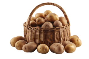 A wicker basket overflowing with freshly harvested potatoes isolated on transparent background png