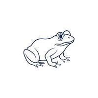 Clean and Simple Frog Drawing vector