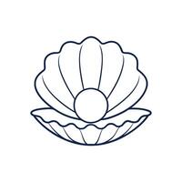 Open shell line art vector