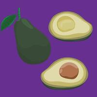 avocado full and half cut full version flat design fresh fruit vector