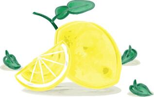 Hand Drawing Watercolor Illustration of One Whole Lemon and One Lemon Slice Side by Side. vector