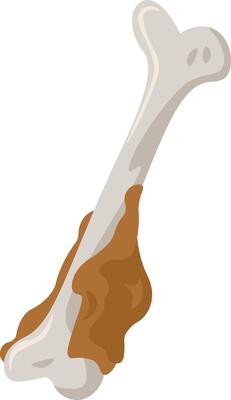 Nature's Palette Illustration