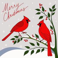 Two red birds on a branch vector