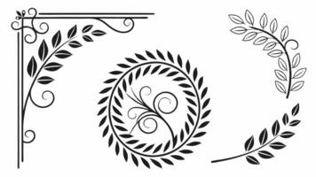 A set of decorative elements, including leaves and branches vector