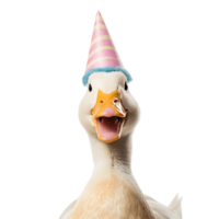 Duck wearing a party hat is smiling and making a funny face png