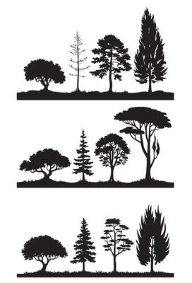 Group of trees silhouette Tree silhouette