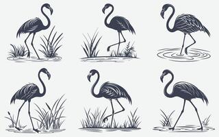 Elegant Flamingo Silhouettes in a Wetland Setting vector