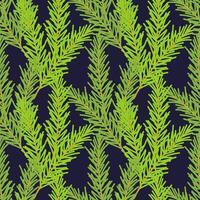 Fir branches pattern, coniferous green branches, Christmas holiday background, backdrop, backing, on dark background. vector
