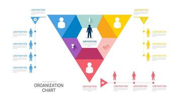 organization chart Infographic template for with business avatar icons. illustration. vector