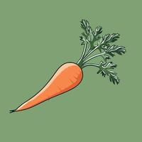 Carrot on green background vector