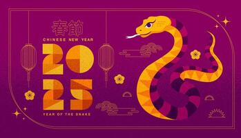 Lunar new year, Chinese New Year 2025 ,Year of the Snake ,line art vector