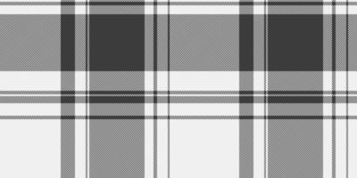 Professional textile plaid background, classy tartan fabric texture. Mexican check pattern seamless in white and grey colors. vector
