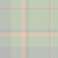 Reel tartan textile texture, single pattern fabric plaid. Packing check seamless background in pastel and grey colors. vector