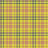 Plaid seamless pattern. background of textile ornament. Flat fabric design. vector