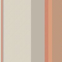 Stripes pattern background. Colorful stripe abstract texture. vector