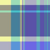 Diverse fabric seamless tartan, 70s textile background check. Oriental pattern texture plaid in indigo and pastel colors. vector