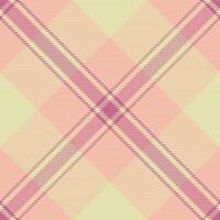 Plank textile tartan plaid, formal seamless check texture. Orange fabric background pattern in light and orange colors. vector