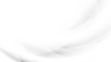 Abstract white and gray color, modern design stripes background with curve lines. illustration. vector