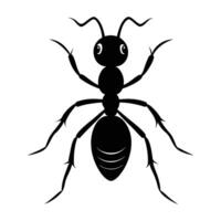 A Ant silhouette icon isolated on white background vector