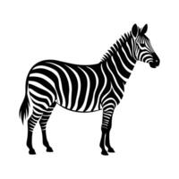 zebra silhouettes , illustration isolated on a white background vector
