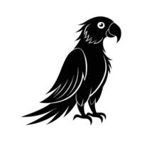 parrot bird silhouette icon isolated on white background vector