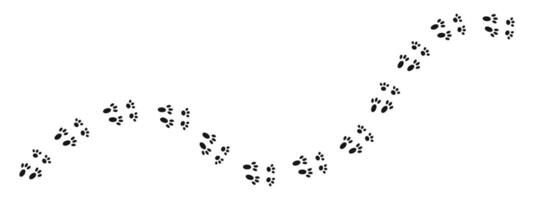 Wet or mud bunny feet prints. Rabbit paw silhouette stamps. Trace of steps of running or walking hare isolated on white background. graphic illustration vector