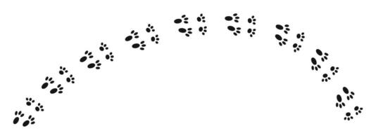 Bunny wet, mud or snow pawprints. Rabbit paw stamps. Trace of steps of running or walking hare or other wild animal isolated on white background. Easter concept vector