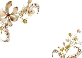 Floral in sepia monochrome watercolor on template. Flower, fern in beige color hand drawn isolated on white. Abstract plants neutral painted. Design of branding, printed products, card, invitation vector