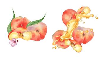 Watercolor set with peaches falling on air and splash juice isolated on white. Illustration fig peaches and fruits juice drops. Peach leaves hand drawn. Elements for package, product label, cosmetic vector