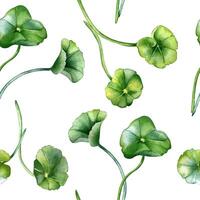 Centella asiatica stems and rounded leaves on watercolor seamless pattern. Geranium, pennywort herbal plants hand drawn. Greenery design on repeating background for package, textile, nature label. vector