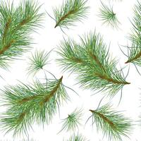Pine branches on seamless watercolor pattern isolated on white. Christmas botanical endless background. Christmas tree branches for wrapping paper, fabric, wallpapers, and seasonal package. vector